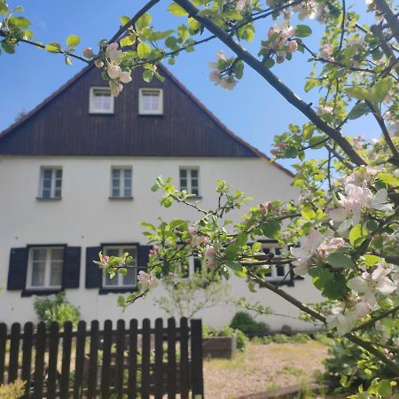 Lusatia Farm Leśna Eksteriør billede