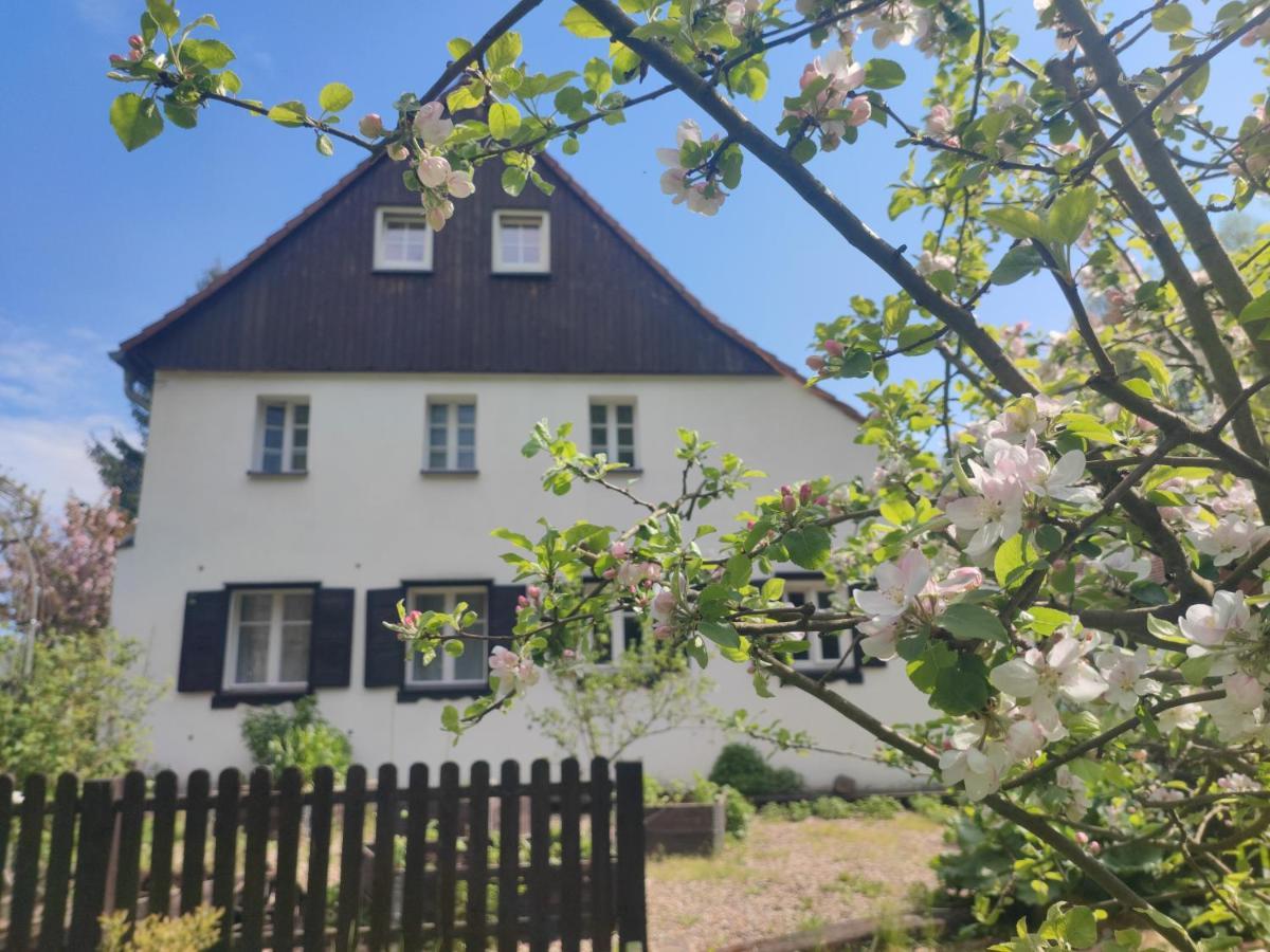 Lusatia Farm Leśna Eksteriør billede