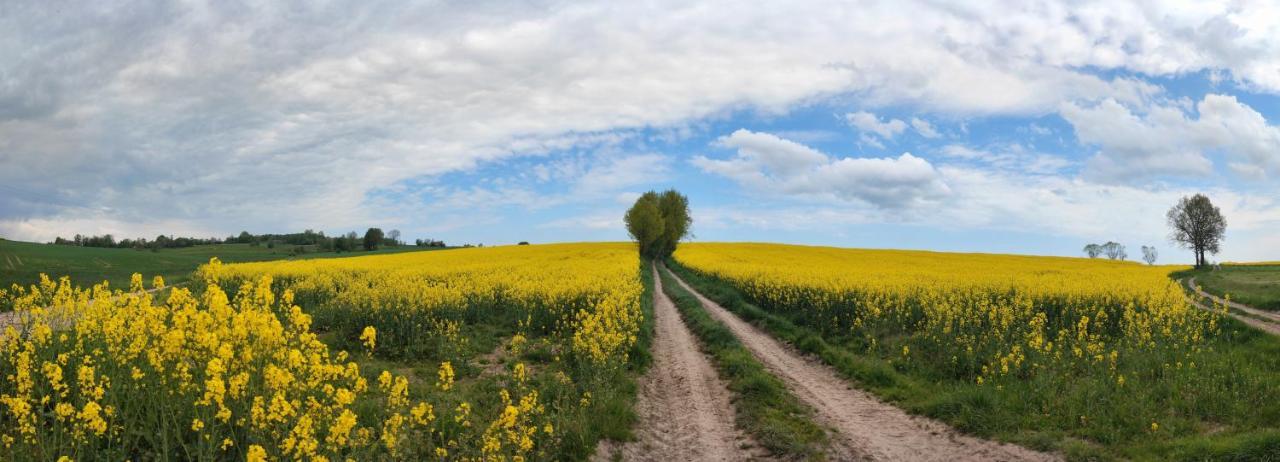 Lusatia Farm Leśna Eksteriør billede