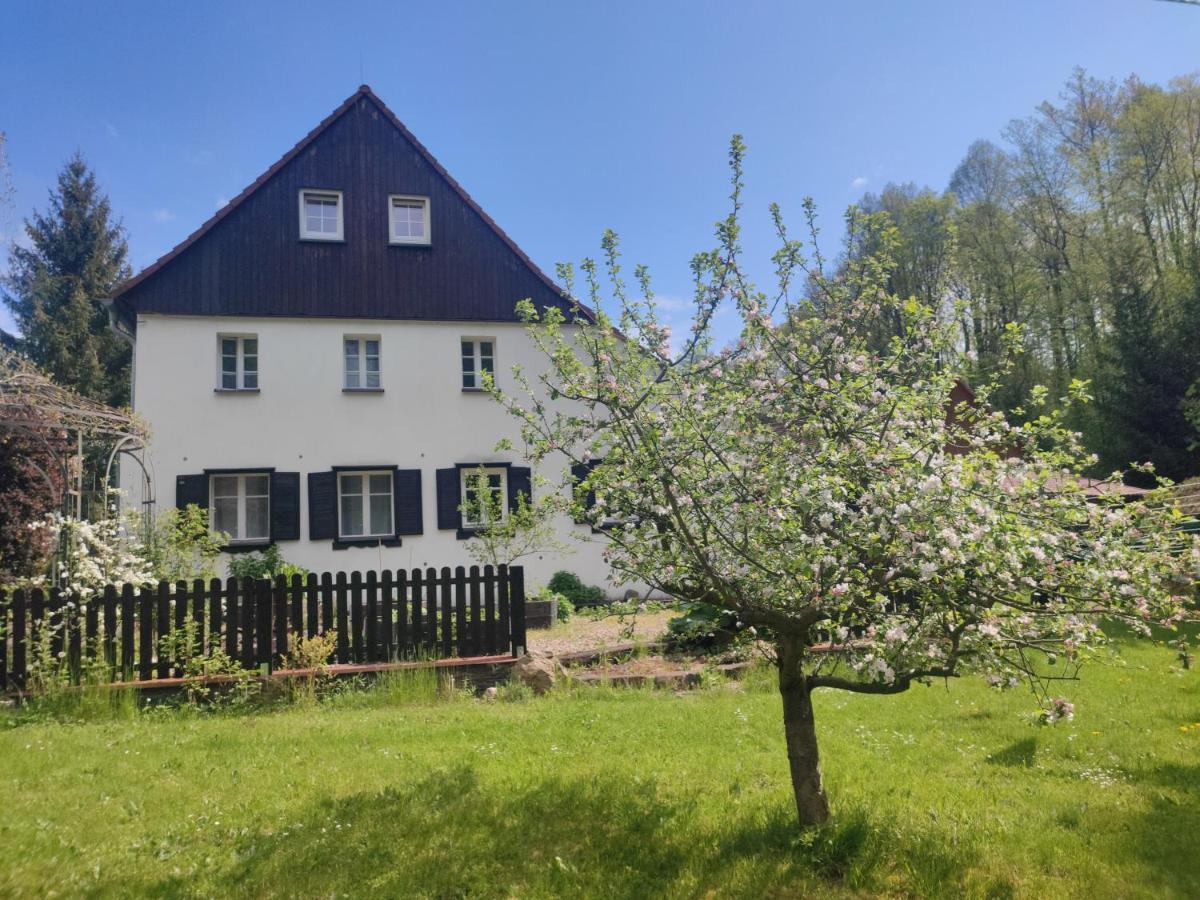 Lusatia Farm Leśna Eksteriør billede