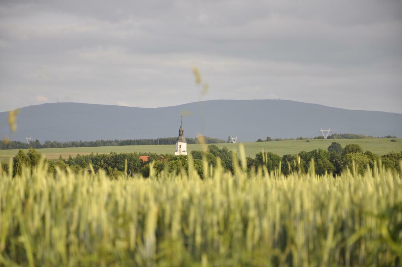 Lusatia Farm Leśna Eksteriør billede