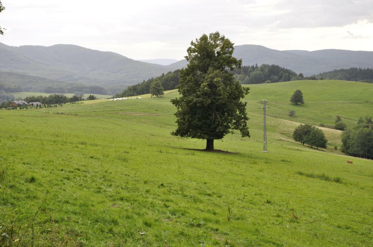 Lusatia Farm Leśna Eksteriør billede
